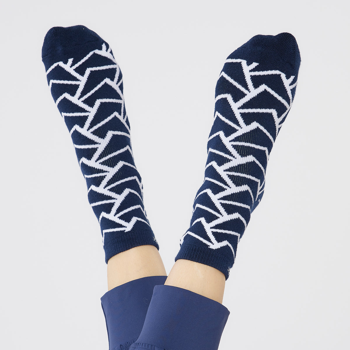 Swing Out Sister 2 Pair Pack of Socks in Navy & White